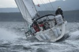shearwater gbr2336c whyw24 fri 750 0239